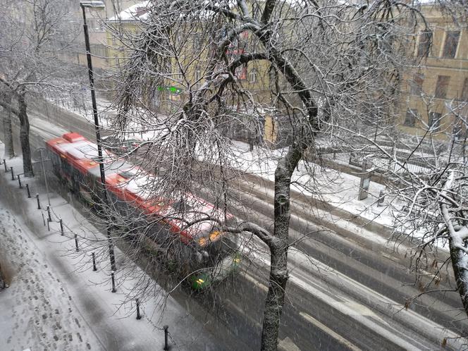 Śnieżyca w Lublinie