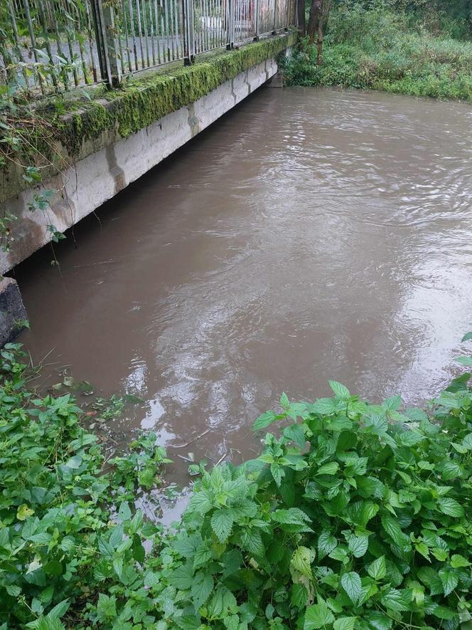 Zagrożenie powodziowe w Kątach Wrocławskich. Gmina apeluje do mieszkańców 