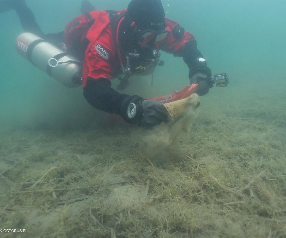 jezioro Tarnobrzeskie Niezwykła akcja płetwonurków