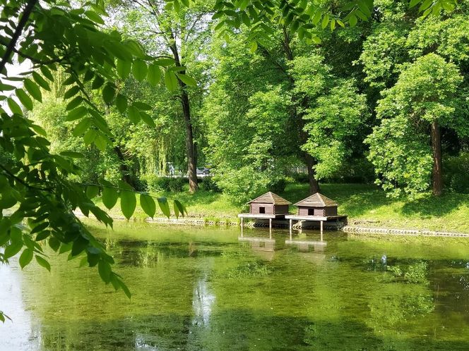 Park Miejski w Zamościu
