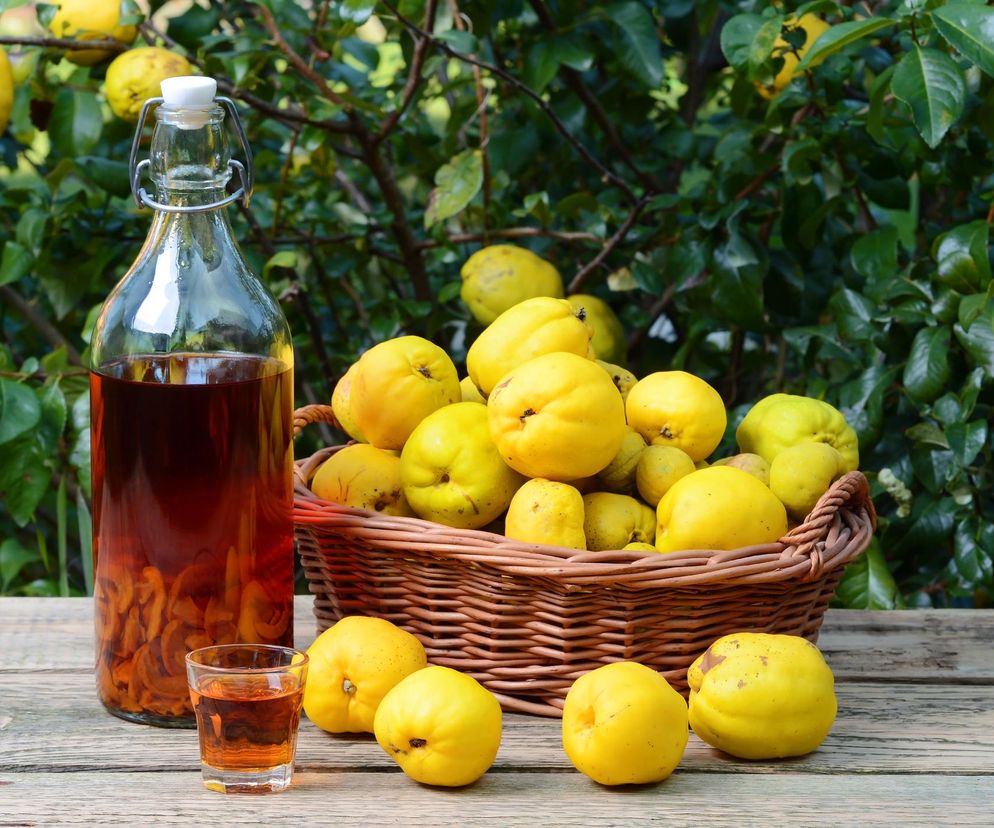 Naturalna tarcza dla organizmu. Ocet z pigwy działa przeciwzapalnie i odmładzająco