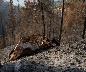 Podeszły do płonącego auta! Ogień trawił pasażera. Tragiczny finał pożaru w Lubuskiem
