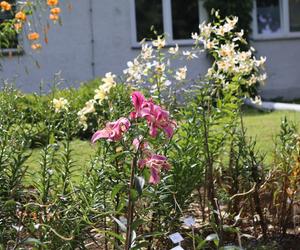 Kwitnący Ogród Botaniczny UMCS w Lublinie