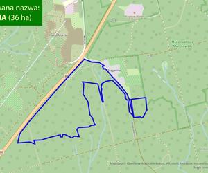 Katowice proponują tzw. pakiet ochronny dla murckowskich buków