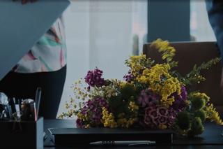 M jak miłość odc. 1674. kwiaty Andrzeja dla Magdy