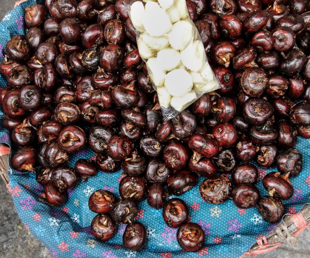 Tajemnica długowieczności z Dalekiego Wschodu. Chronią serce i wzmacniają układ nerwowy