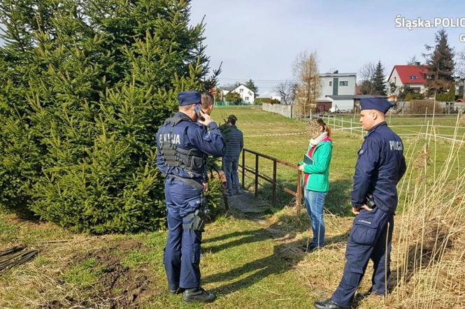 Zabiła czy poroniła? Policjanci pracują nad ustaleniem tożsamości kobiety