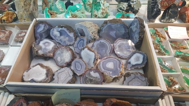 Giełda Minerałów w Sosnowcu