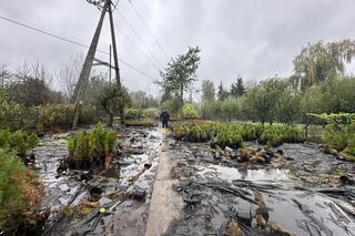 Odolanów walczy z wielką wodą (15.09.2024)
