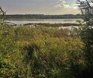 Zamek w Bobrownikach - Widok na Wisłę