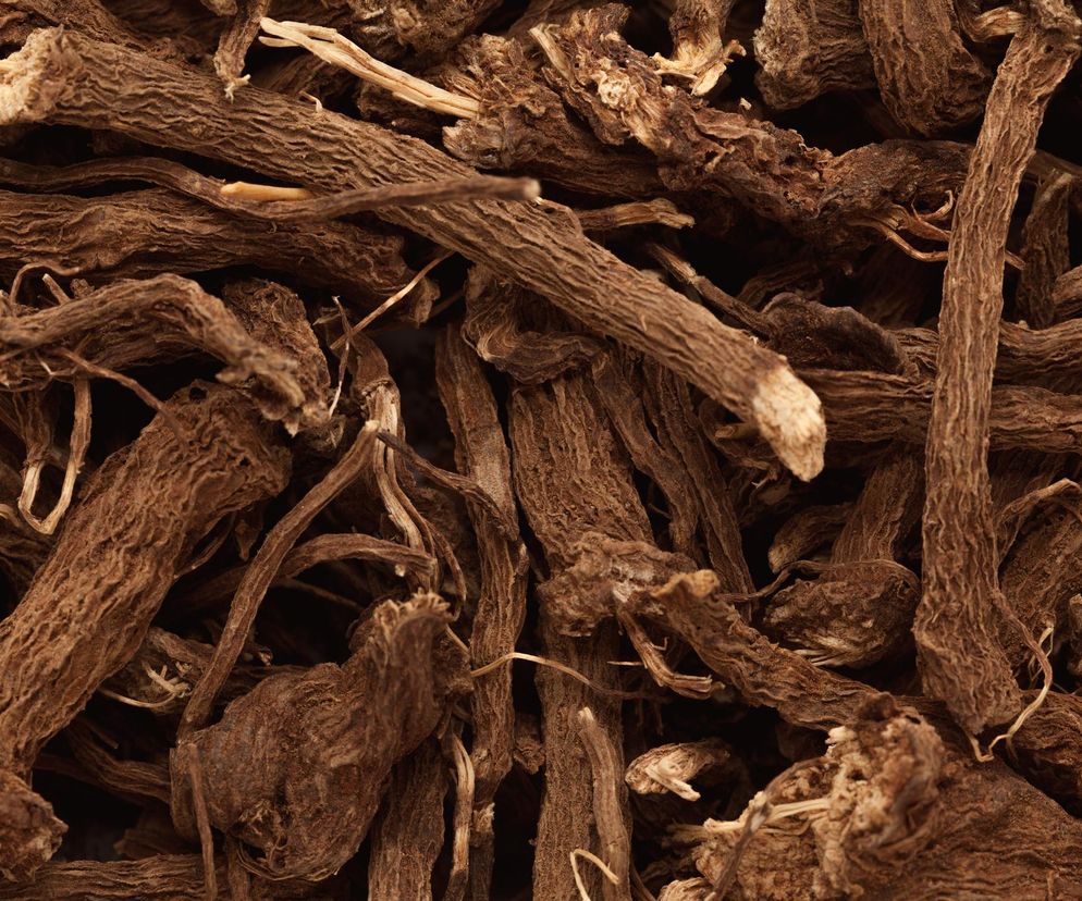 Tajemnicza roślina o leczniczych właściwościach. Leczy infekcje i wspiera krążenie