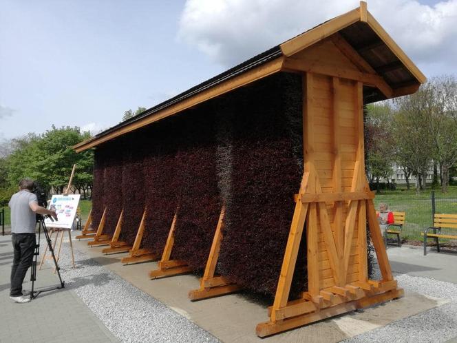 Gdzie tężnia solankowa i skatepark Pod Skałkami? Pytają mieszkańcy Starachowic