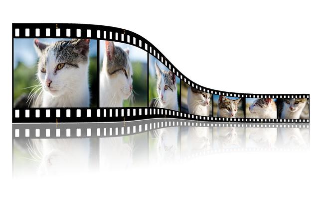 Warsztaty animacji filmowej
