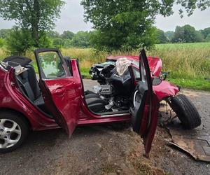 Makabryczny wypadek pod Szczecinem. Rozpędzone auto uderzyło w drzewo. Jedna osoba nie żyje, dwie są ranne