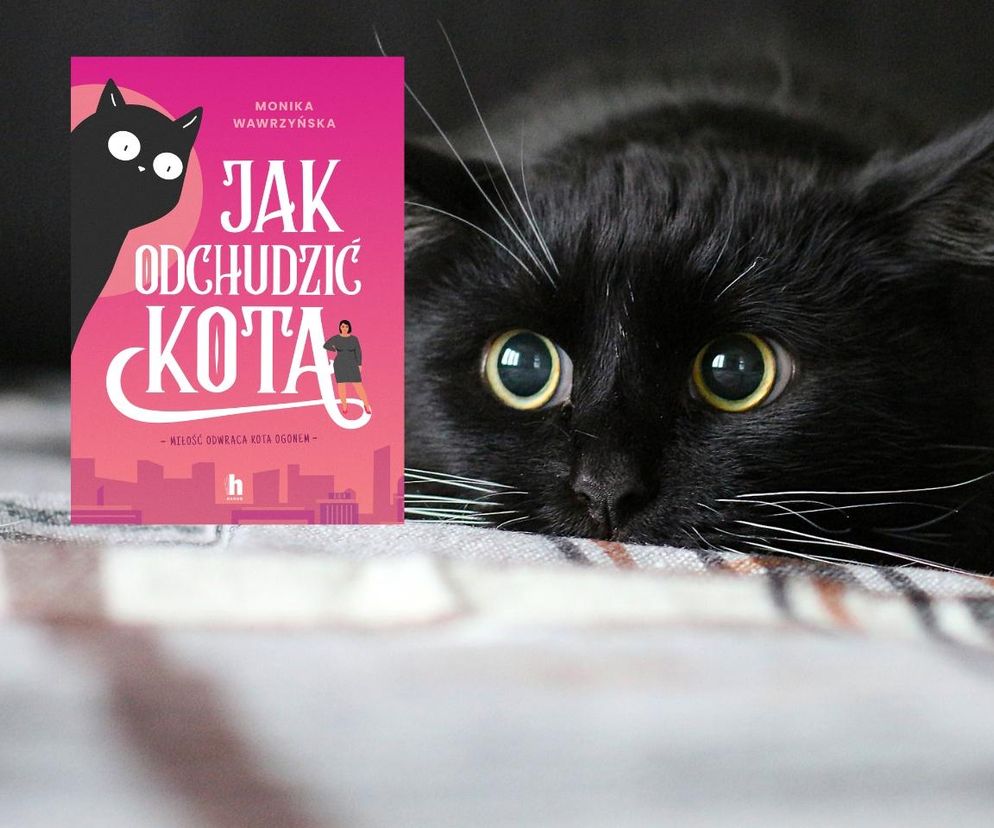 „Jak odchodzić kota” Moniki Wawrzyńskiej  