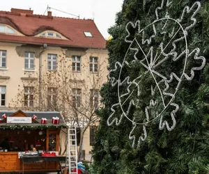 Polacy awansowali do 1/8 finału Mundialu. Z tej okazji... miejska choinka rozbłyśnie dzień wcześniej