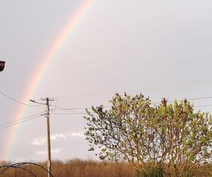 Światowy Dzień Fotografii. Z tych fotek są dumni nasi Czytelnicy! ZOBACZ