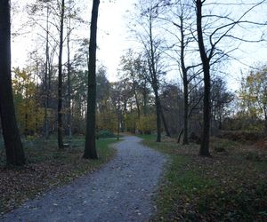 Pałac w Baranowicach jesienią