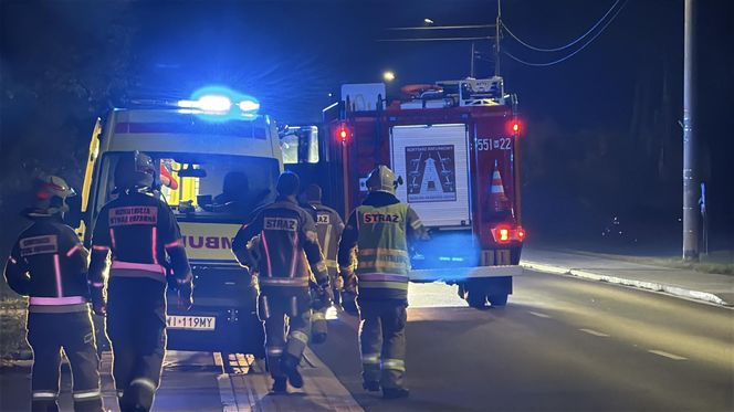 Wiązowna. Zderzenie autobusu z sarną 