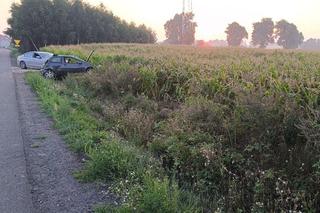 Tajemniczy wypadek pod Gnieznem. 32-latek zginął na prostej drodze