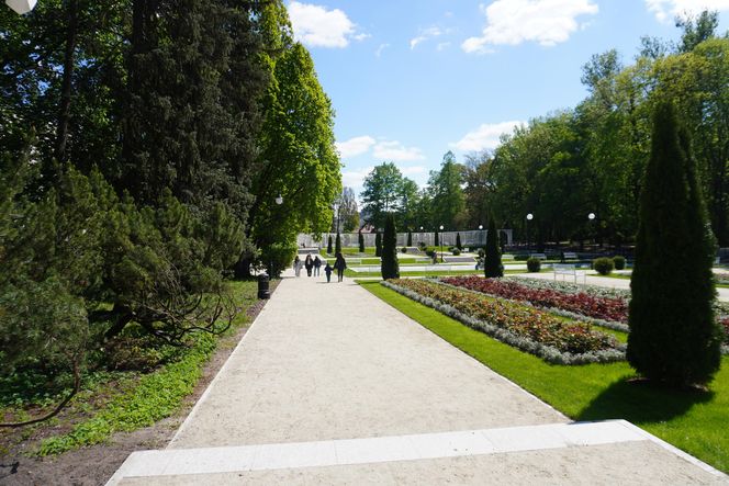 Różanka w Parku Planty po remoncie