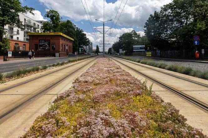 Jedna z najważniejszych inwestycji Torunia na finiszu. Zobaczcie zdjęcia z projektu BiT-City II
