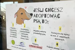 Schronisko dla Bezdomnych Zwierząt w Szczecinie