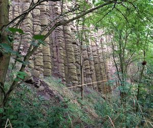 Bazaltowe słupy na Dolnym Śląsku