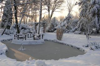 Ogród botaniczny w Zabrzu zostanie rozbudowany. W planach większa szklarnia nowe nasadzenia  [ZDJĘCIA]