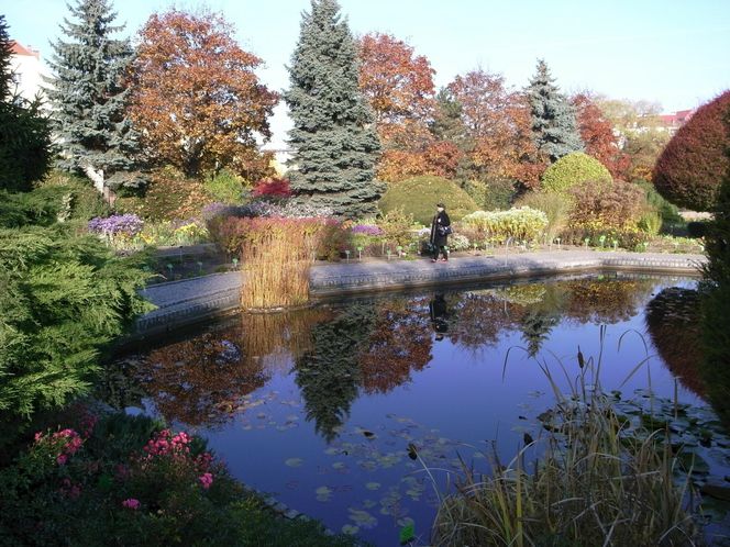 Najpiękniejszy ogród botaniczny w Polsce znów otwarty dla gości. Przygotuj się na widoki jak z bajki 