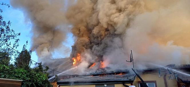 Pożar na Bugaju 19.05.2024