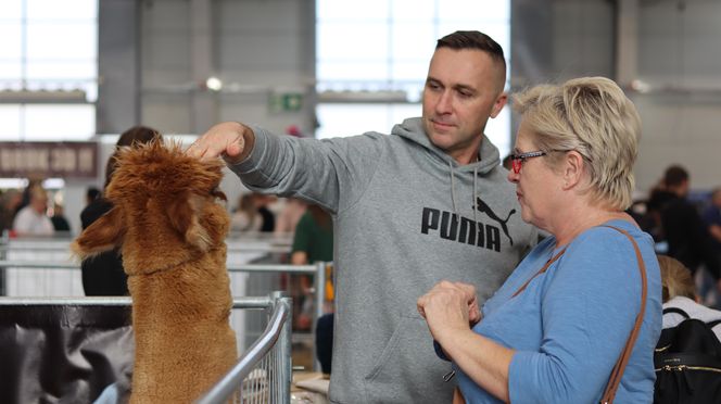 Tak wyglądał Zoopark 2024 w Lublinie! Zobacz zdjęcia