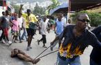 Haiti: Szabrownik ukarany
