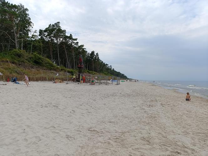 Badanie geologiczne na plaży w Lubiatowie. Budowa elektrowni jądrowej w gminie Choczewo