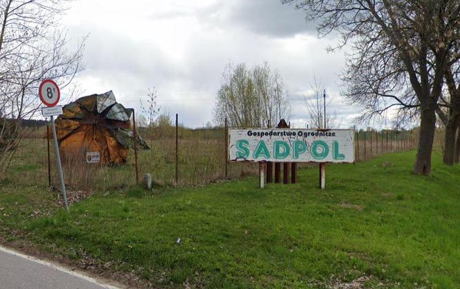 Wielka truskawka pod Warszawą