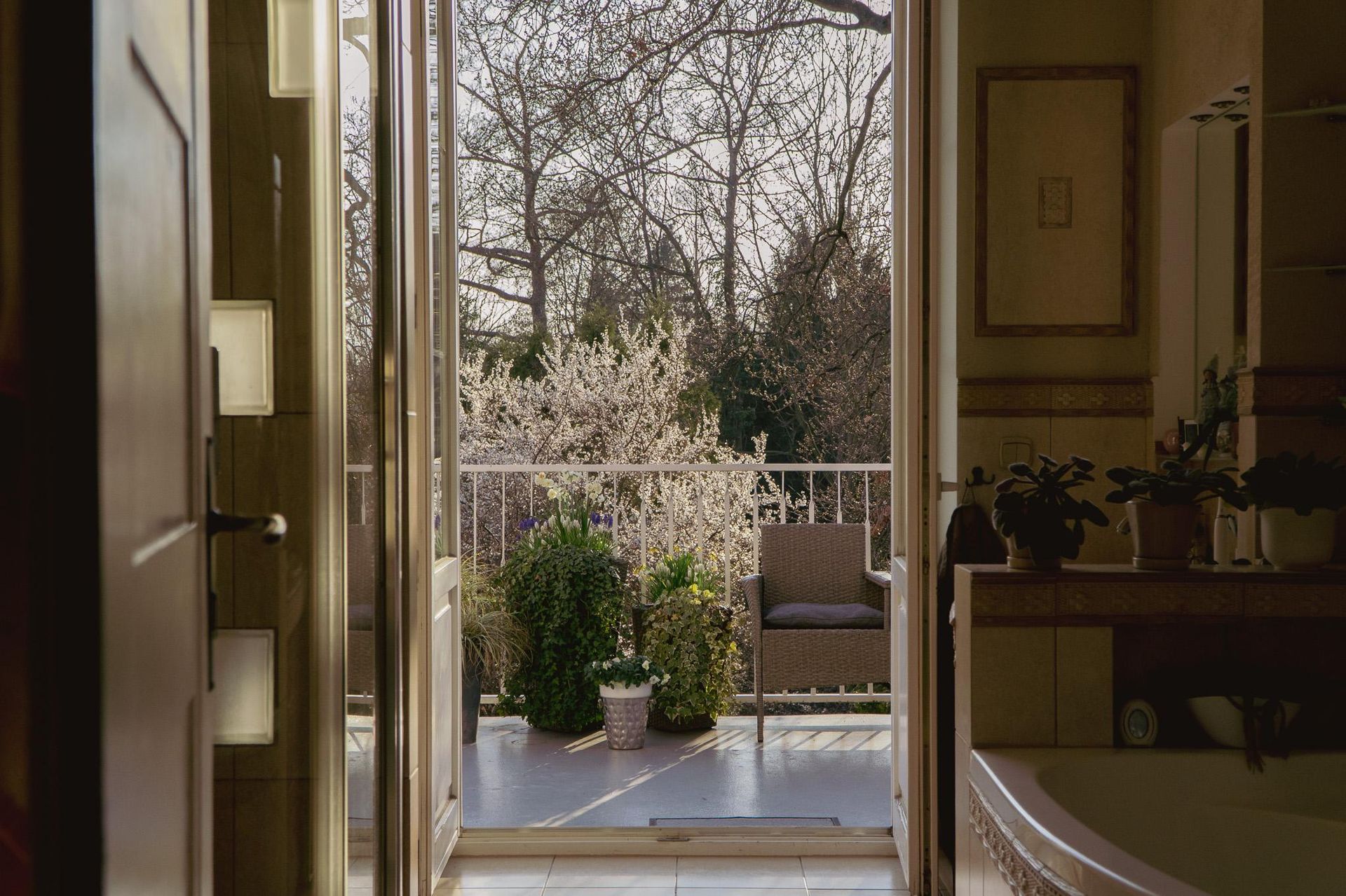 Willa Maxa Berga we Wrocławiu