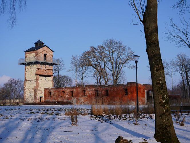 Zimowy spacer po Podzamczu w Łęcznej