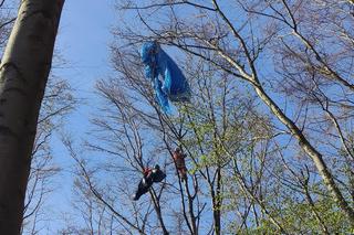 Paralotniarka wylądowała na drzewie. Kobieta wisiała 25 metrów nad ziemią