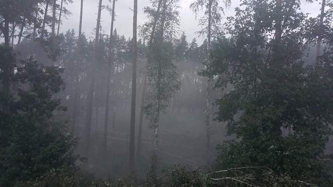 Niszczycielka nawałnica pod Świeciem! Przerażające zdjęcia