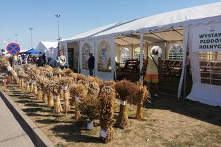 W Siedlcach odbyły się targi rolnicze