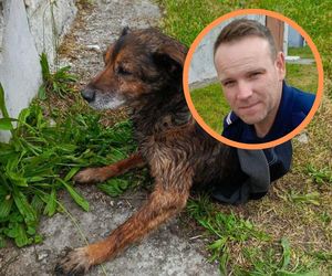 Bohaterska postawa policjanta. Z narażeniem własnego życia uratował psa