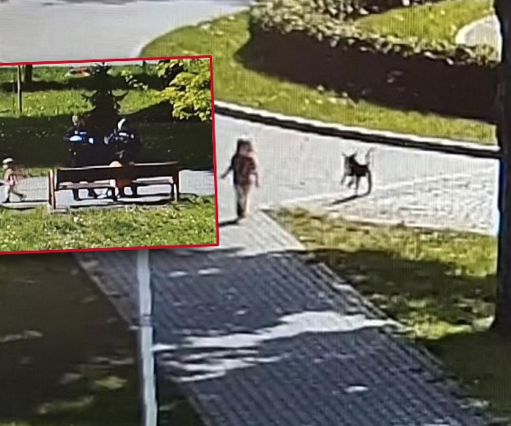 „Wciągnęła kreskę” i straciła córeczkę z oczu. Żenujące sceny w parku