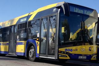 Majówka 2020 w Kaliszu: Zmiany w rozkładzie jazdy autobusów! 