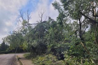 Potężne nawałnice przeszły przez powiaty brzeski i bocheński