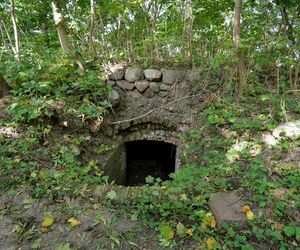 Ruiny zamku w kujawsko-pomorskim, które warto zobaczyć. Turyści rzadko tu trafiają [GALERIA]