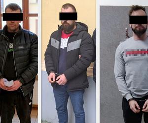 Sukces lubelskiej policji. Sześciu mężczyzn z zarzutami wytworzenia narkotyków