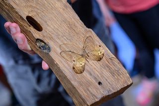 Nietypowa atrakcja turystyczna w Małopolsce. Gromadzą okazy z całego świata 