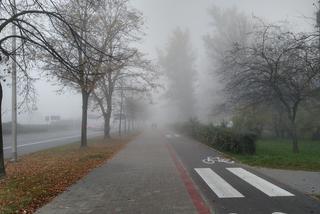 Wielkopolska: Gęsta mgła ogranicza widoczność praktycznie do zera! IMGW wydaje żółty alert