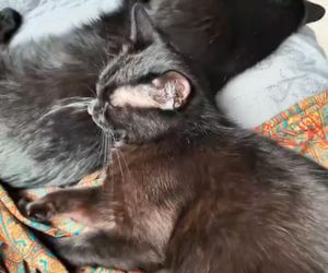 Para ze „Zróbmy sobie dom” nie wygrała finału, ale nie odpuszcza. Jeśli uważacie, że zasłużyliśmy naszą ciężką pracą