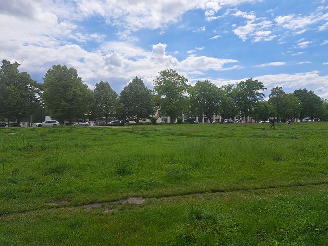 Błonia w Krakowie